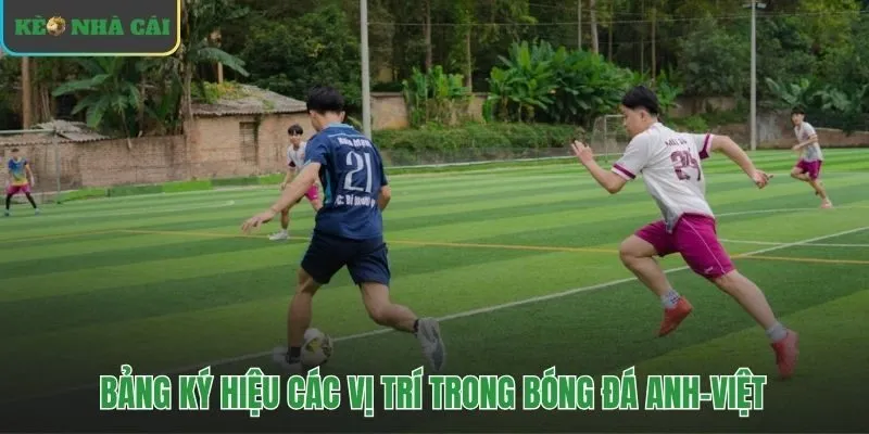 Tra cứu nhanh ký hiệu các vị trí bóng đá thông dụng