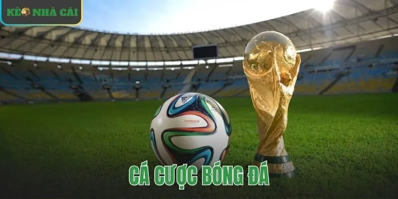 cá cược bóng đá