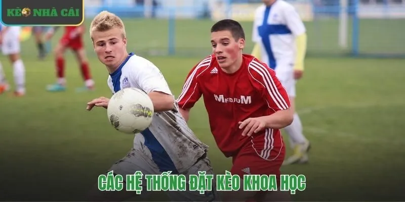 Các chiến thuật bóng đá giúp quản lý vốn vượt may rủi