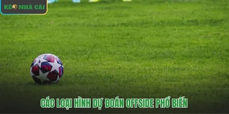 Đa dạng các loại kèo việt vị từ tài xỉu đến chẵn lẻ