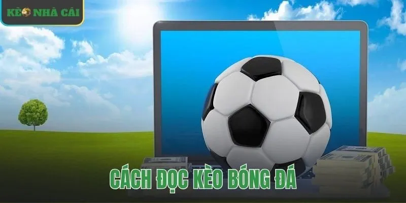 cách đọc kèo bóng đá
