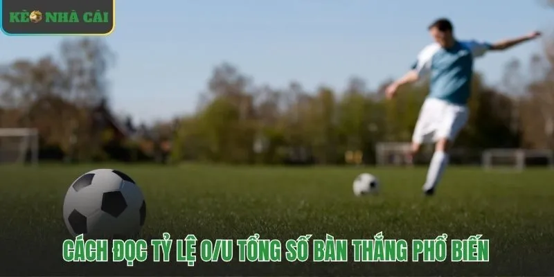 Phân tích các tỷ lệ cược tài xỉu trong bóng đá
