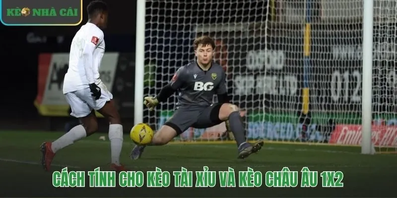 Công thức tính trực tiếp cho kèo O/U và kèo 1X2