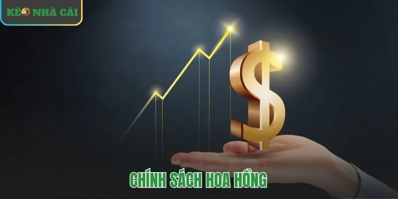 Hoa hồng đại lý kèo nhà cái theo cấp bậc đến 55%