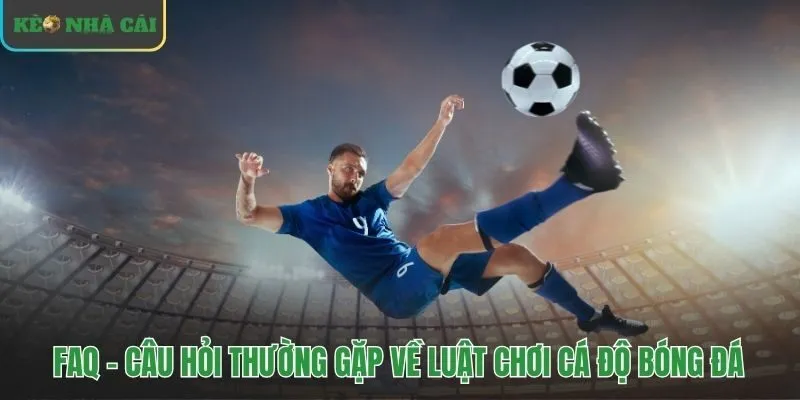 Giải đáp các câu hỏi thường gặp về quy tắc đặt tiền