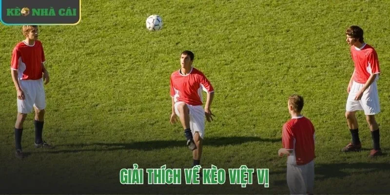 Kèo việt vị dự đoán số lỗi offside thay vì kết quả