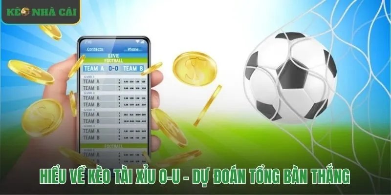 Cách đọc kèo bóng đá Tài Xỉu dự đoán tổng bàn thắng