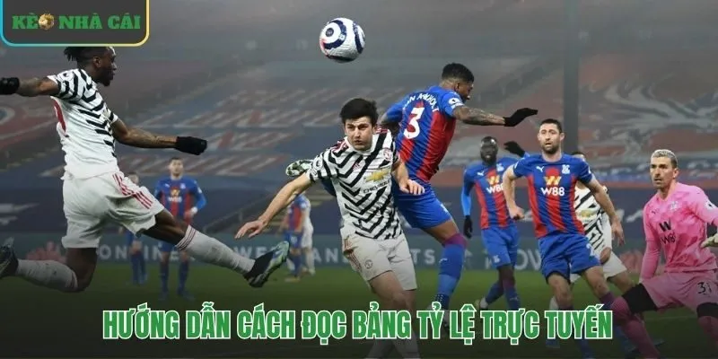 Đọc hiểu các thuật ngữ trên bảng kèo châu âu