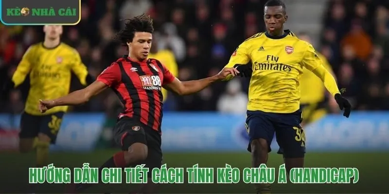 Làm rõ các trường hợp nhận nửa và mất nửa vốn cược