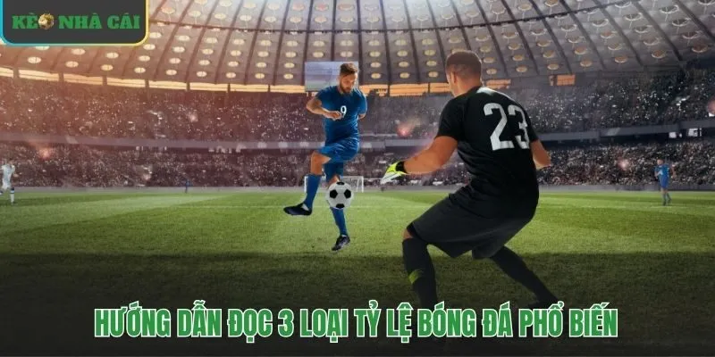 Nền tảng luật cá độ bóng đá qua ba loại kèo chính