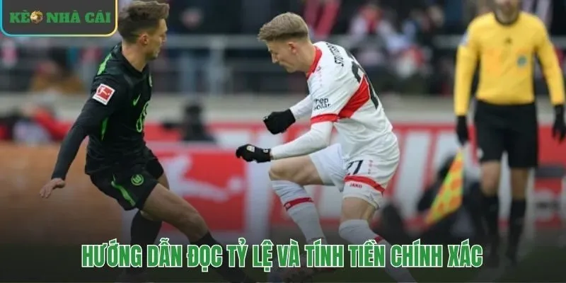 Đọc tỷ lệ cá cược bóng đá và cách tính tiền thưởng