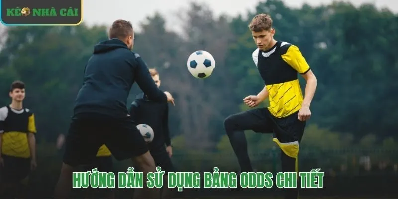 Làm chủ các tính năng của bảng odds để soi kèo hiệu quả