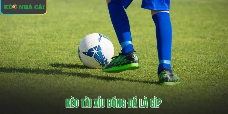 Cược tài xỉu bóng đá chỉ quan tâm tổng số bàn thắng