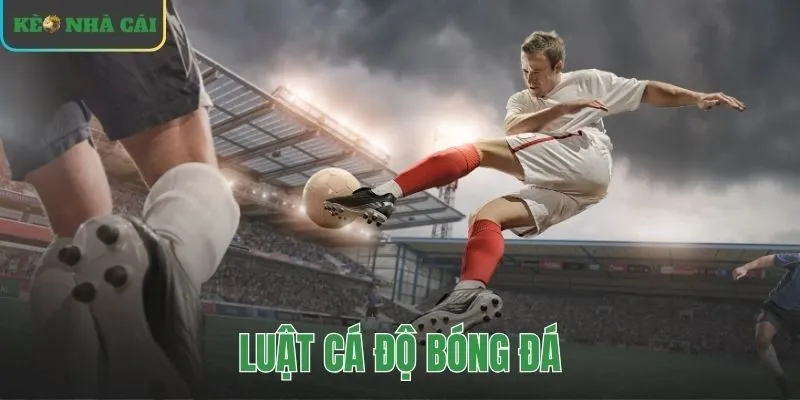 luat-ca-do-bong-da