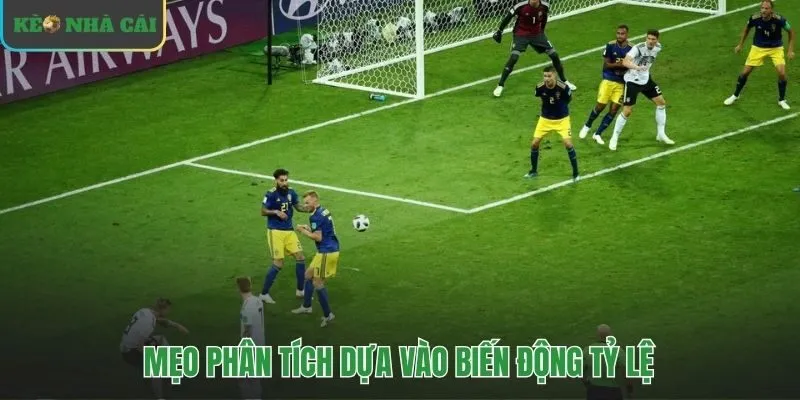 Phân tích biến động kèo châu âu để tìm cơ hội