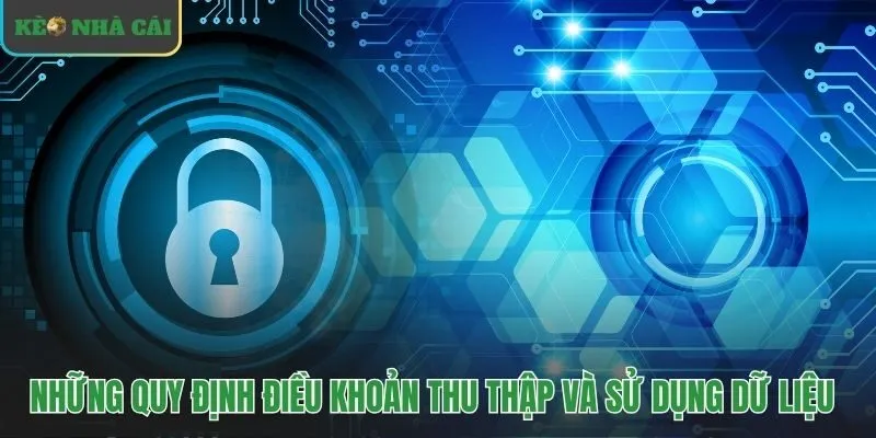 Chính sách bảo mật thông tin quy định rõ quy trình xử lý dữ liệu