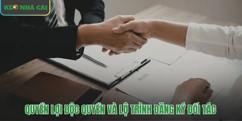 Hỗ trợ toàn diện và công cụ cho đại lý kèo nhà cái