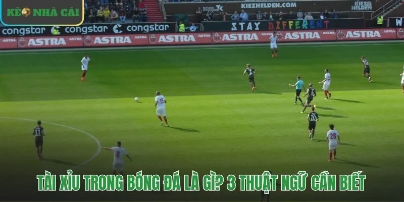 Ba thuật ngữ cơ bản xác định kèo tài xỉu trong bóng đá