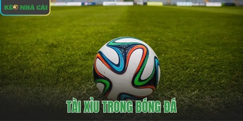 tài xỉu trong bóng đá