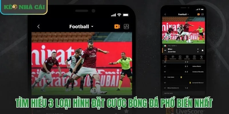 Ba loại hình đặt cược bóng đá nền tảng cho người mới