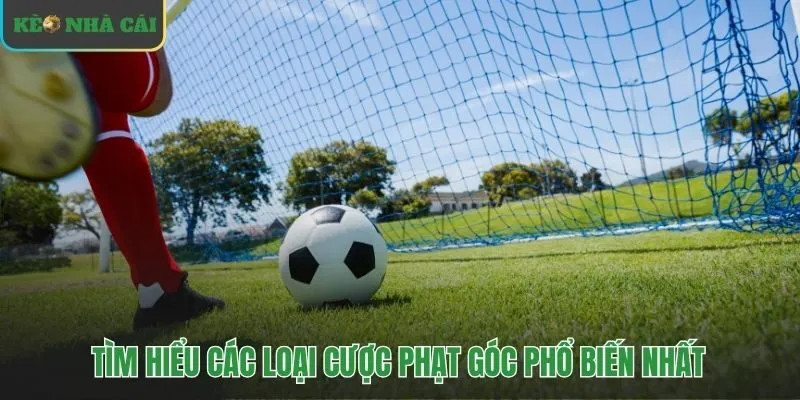 Các loại kèo phạt góc phổ biến từ Tài Xỉu đến Chấp