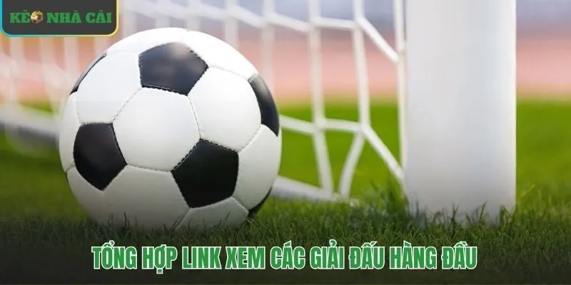 Link xem trực tiếp bóng đá mọi giải đấu lớn trên thế giới