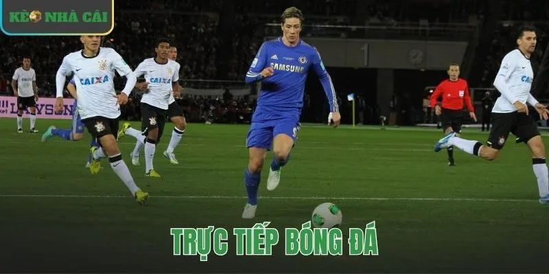 trực tiếp bóng đá