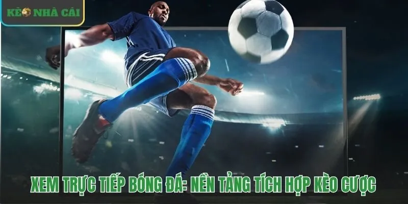 Xem trực tiếp bóng đá biến diễn biến sân cỏ thành cơ hội